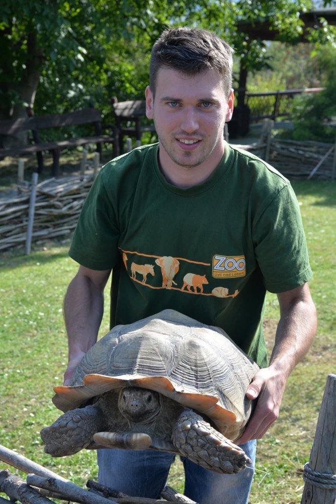 Podpora ZOO Ústí nad Labem