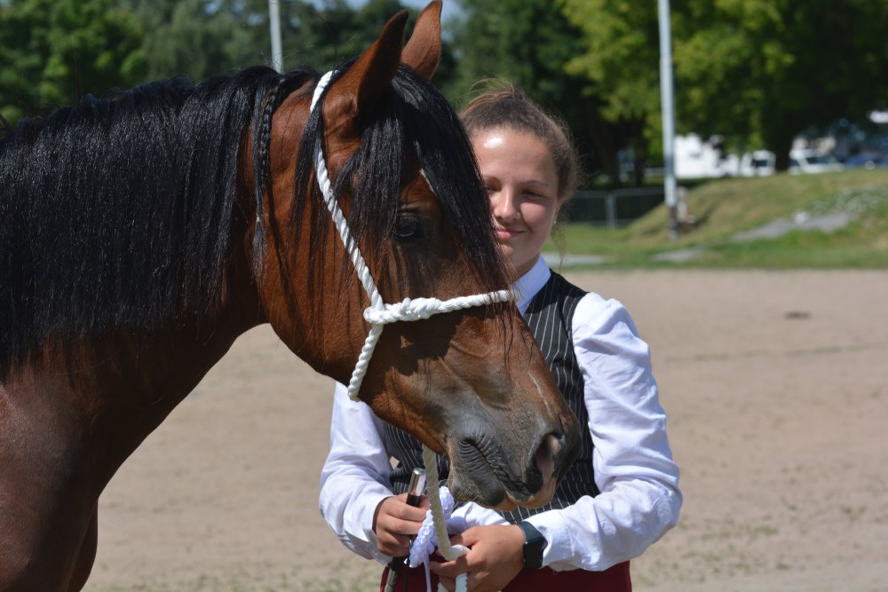 Mezinárodní šampionát Welsh Pony and Cob – Pardubice 28.-29.6.2025
