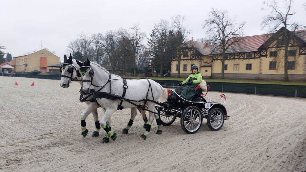 Zimní halový pohár spřežení 2024